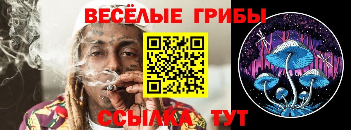Псилоцибиновые грибы мицелий Солнечногорск