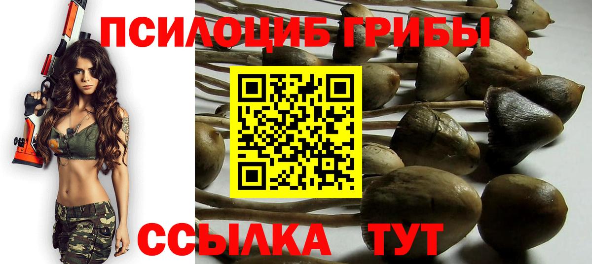 Псилоцибиновые грибы Cubensis  купить  цена  Псилоцибиновые грибы MAGIC MUSHROOMS  Солнечногорск  Вход с VPN 